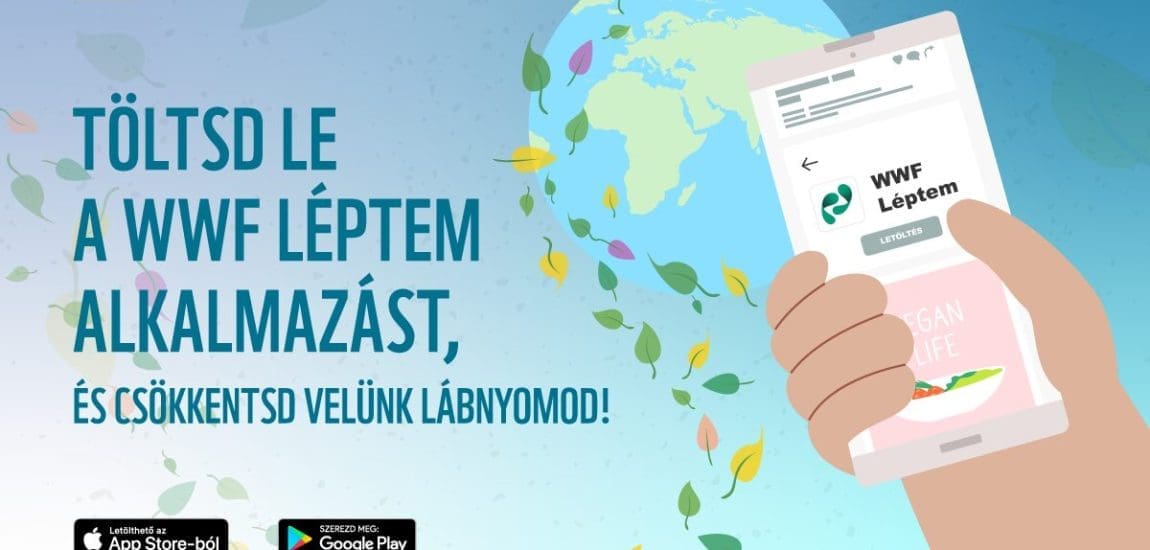 Magyar applikáció a túlfogyasztás ellen