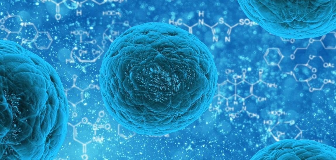 Antibiotikum-rezisztens baktériumok az élelmiszerekben