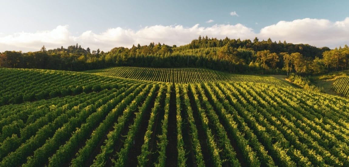 Elvi kifogások és szkepticizmus az agráriumban