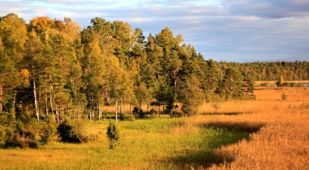 Tartósan vízhiányos időszak kihirdetését kezdeményeztek az agrárszervezetek