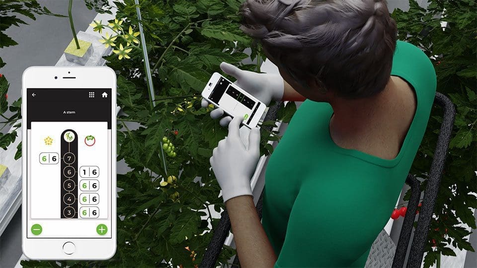 Befektetési tárgyalásokat jelentett be az OXO Technologies
