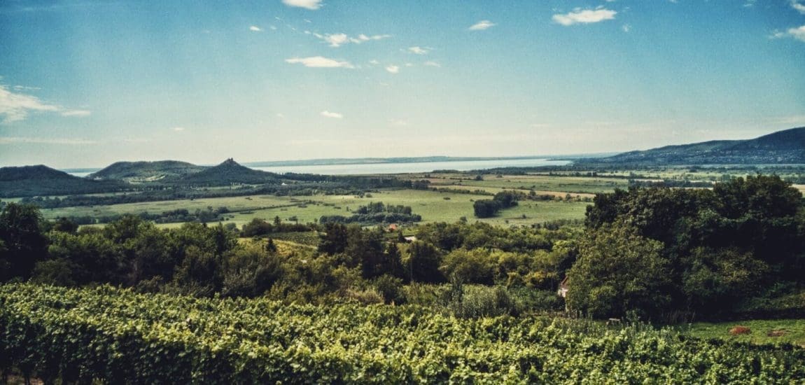 Programok a föld mélyétől a csillagos égig a Balaton-felvidéken