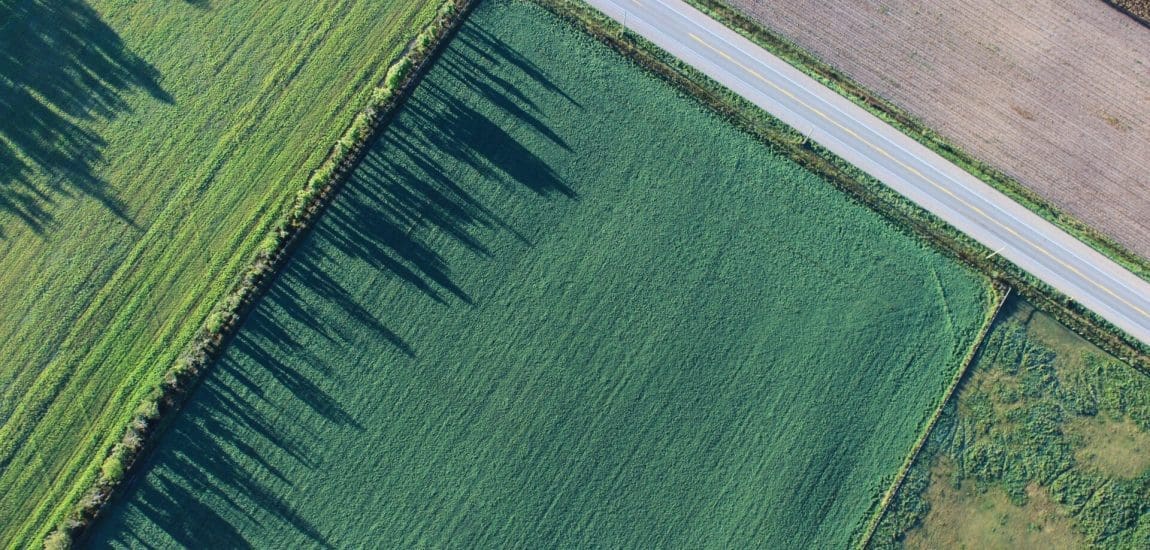 Az áremelkedés áldozatává válhatnak az agrárfejlesztések?