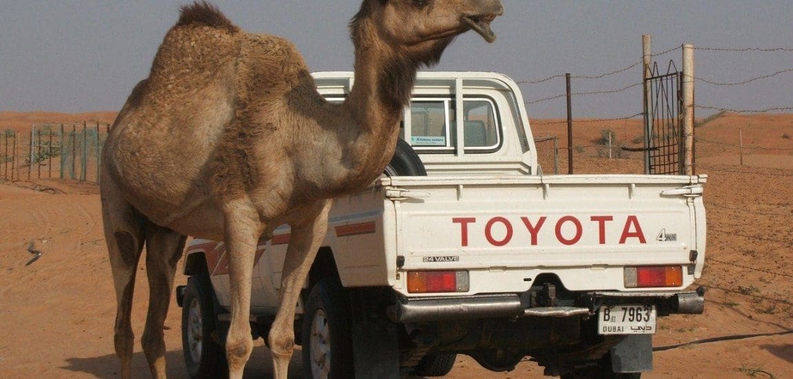 A Toyota megint növelte járműeladását