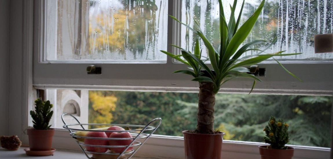 Miért fontos figyelni a megfelelő hűtő- és fűtőtechnikára?