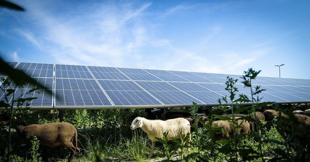Több ezer család jelentkezett a Napenergia Plusz Programba