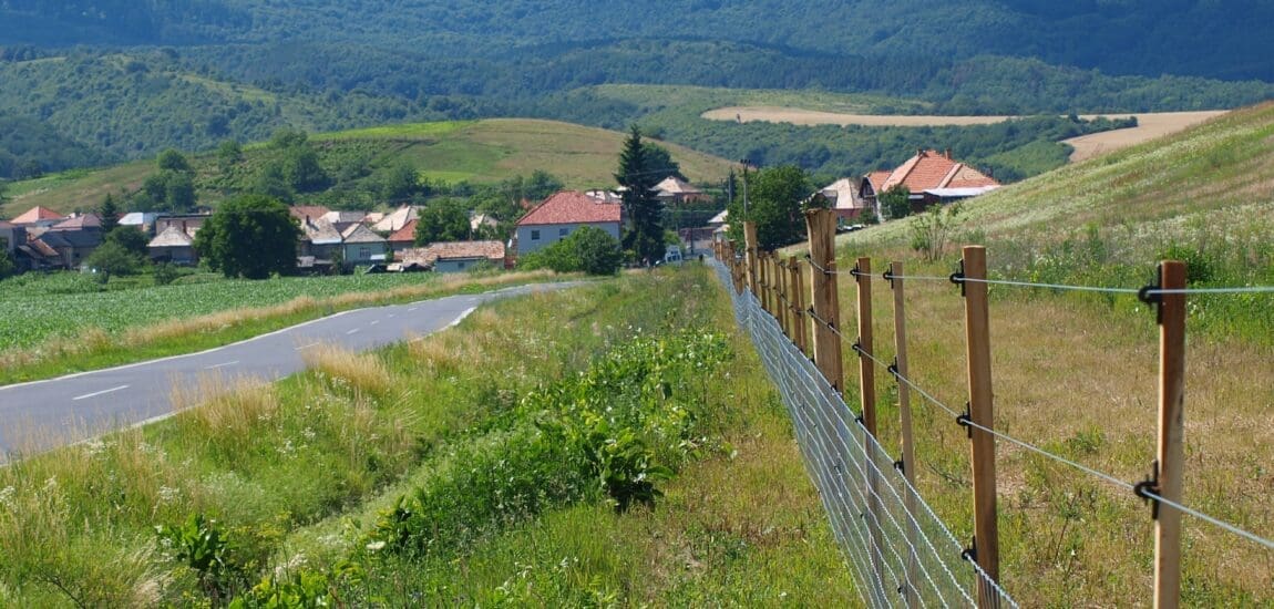 Miért jó választás a villanypásztor? Mit érdemes tudni róla?