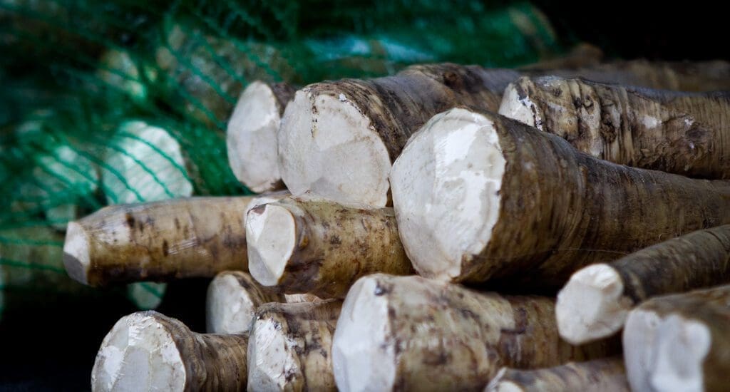 Bezzeg bőven jut exportra is a magyar tormából