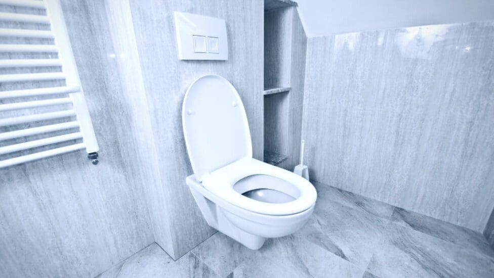Hogyan válasszunk falra szerelhető WC-t?