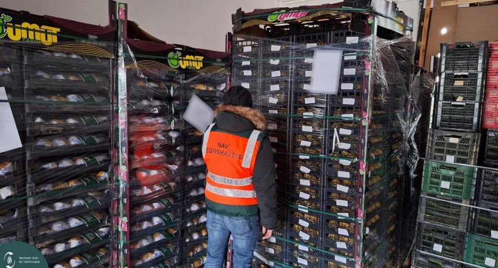 Adócsalók rémálma ha a NAV lecsap, a 150 milliós gyümölcs is kalapács alá kerül
