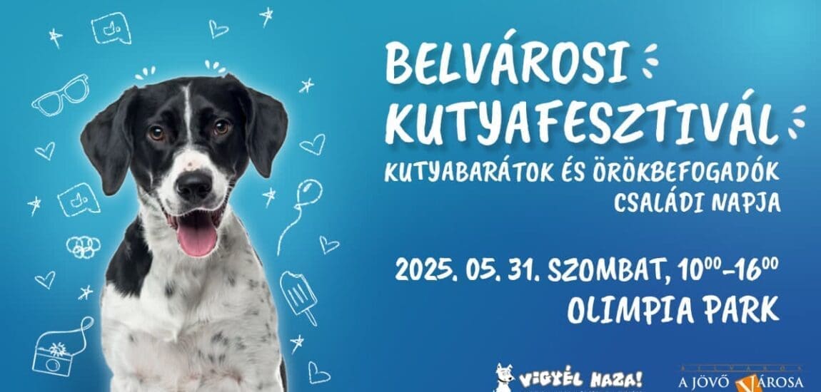 Kutyabarátok, figyelem! Ingyenes fesztivál a belváros szívében – Minden a kutyákról szól szombaton