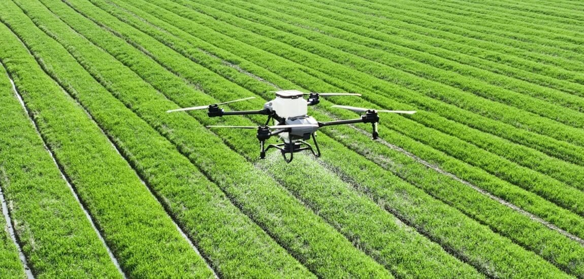 Technológiai forradalom a földeken? – Újraindul a NAK TechLab programja az agrárinnovációért