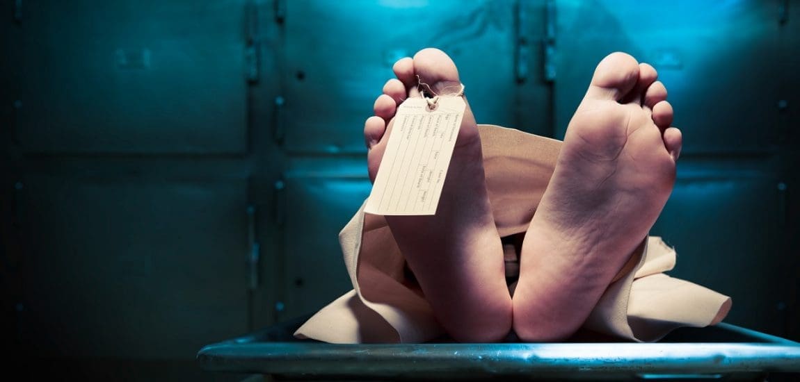 Felháborodás Ciudad Juárezben – 386 holttestet „felhalmozó” tulajdonos, szabadlábon